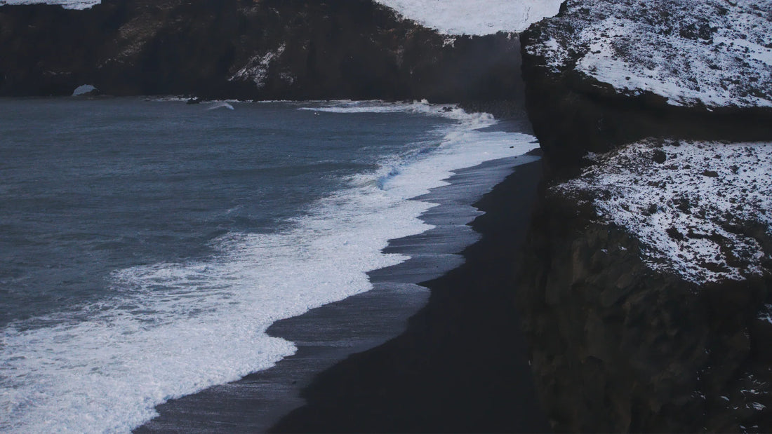 Kwasy humusowe – sekret zdrowej gleby i organizmu